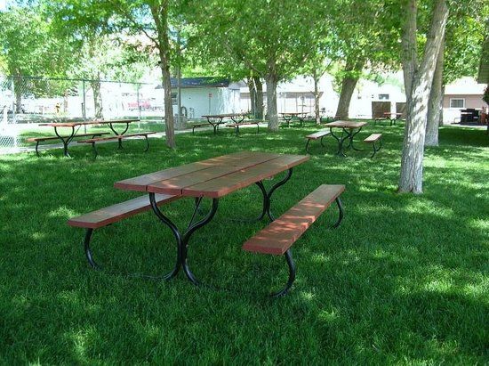 Dairyland & Hot City Coffee